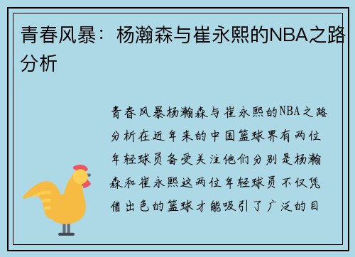 青春风暴:杨瀚森与崔永熙的NBA之路分析